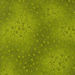 6291 Lime fusion