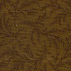 JB no. 116  Ginger Fern