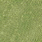 6307 Tokyo Mint Gr�nn